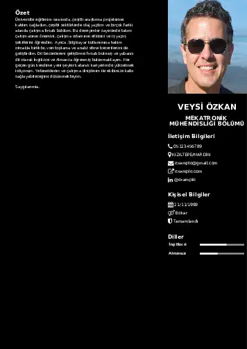 Mekatronik Mühendisliği Cv Örnekleri cv indir